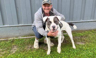 PETA Sterilized HOW MANY Dogs at the Galax Clinic?