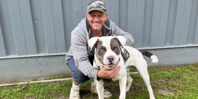 PETA Sterilized HOW MANY Dogs at the Galax Clinic?