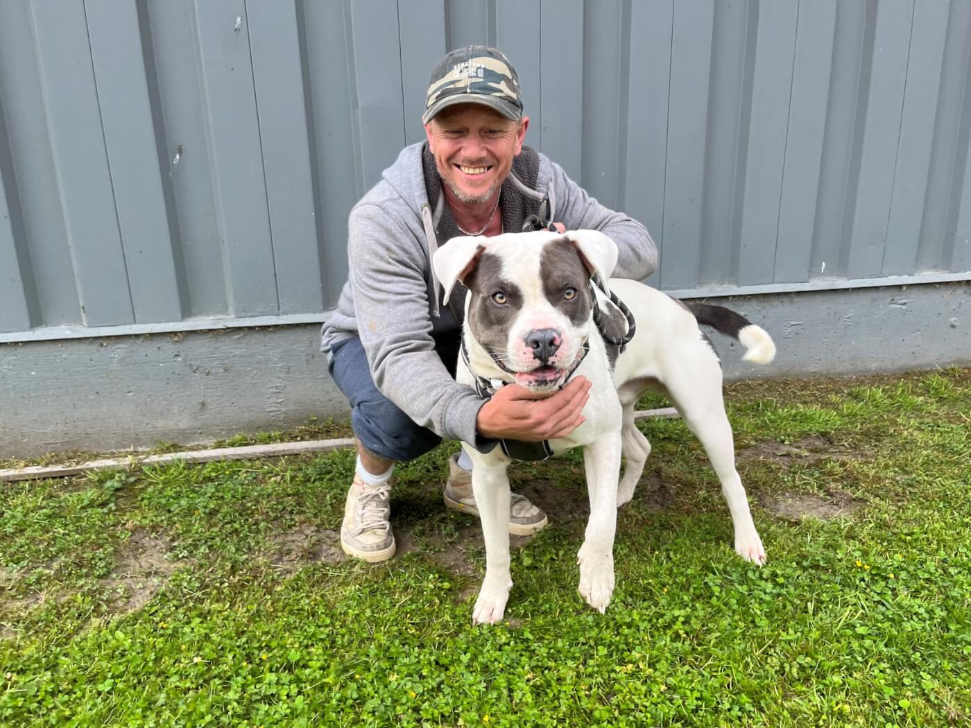 Galax3 scaled 150 Dogs Spayed or Neutered at Galax Clinic