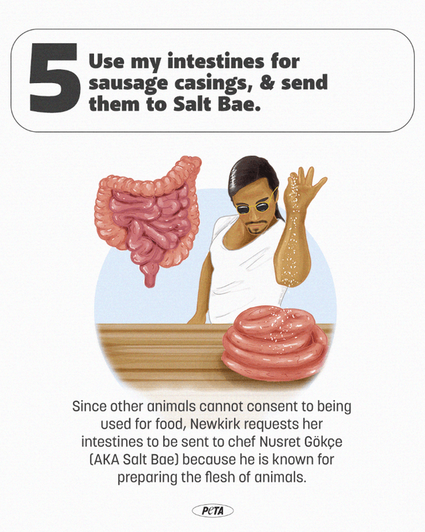 illustration of a request from PETA President Ingrid Newkirk