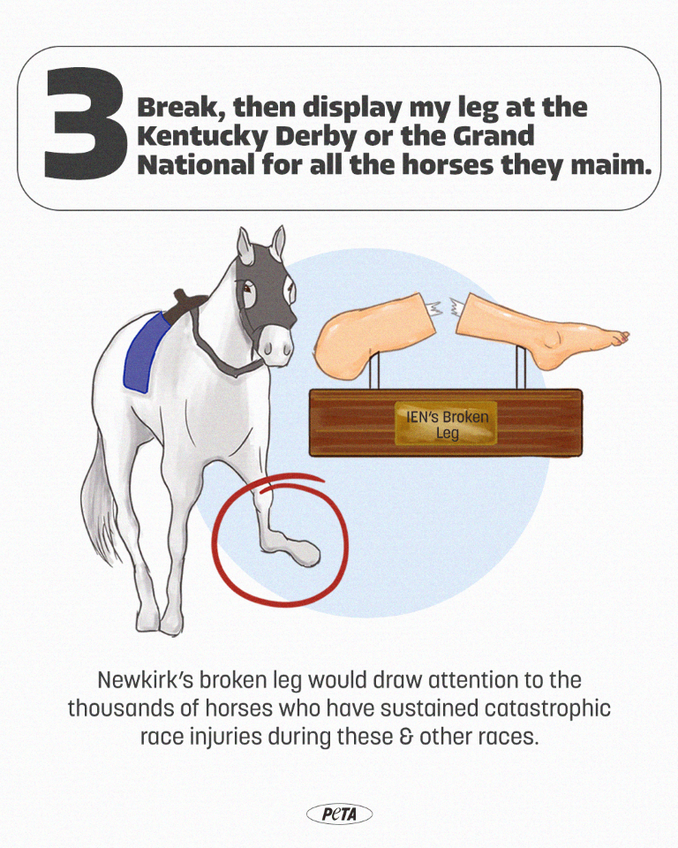 request from the updated will of PETA Founder and President Ingrid Newkirk to, after death, break, then display her leg at the Kentucky Derby or the Grand National for all the horses they maim