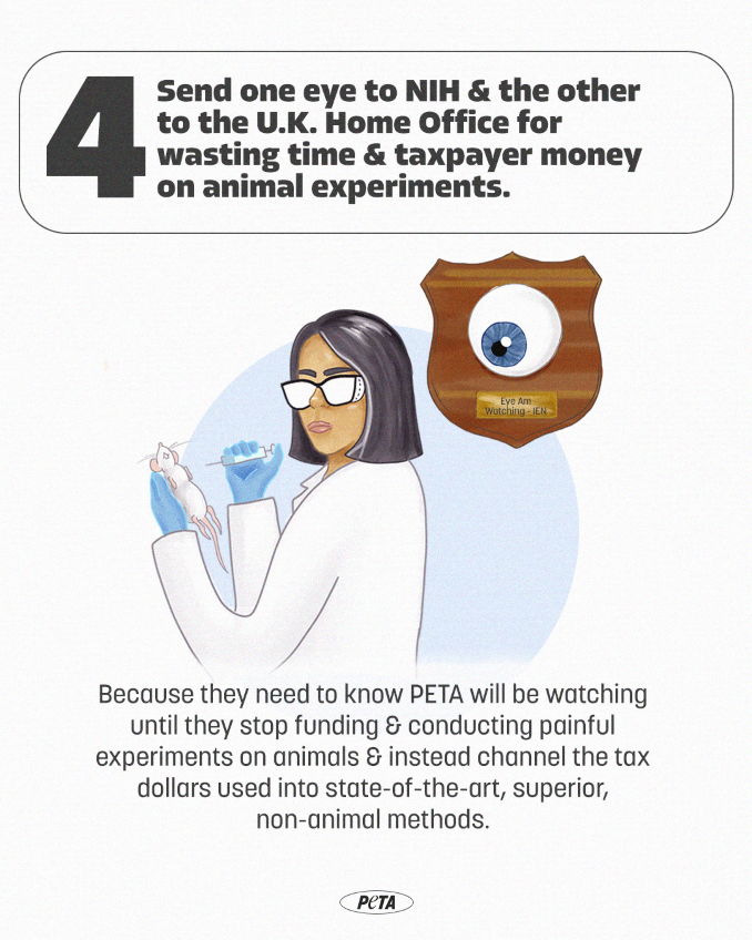 request from the updated will of PETA Founder and President Ingrid Newkirk to, after death, send one of her eyes to NIH and the other eye to the U.K. Home Office, to keep watchful eyes on them for wasting time and taxpayer money on animal experiments