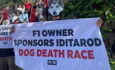 Find Out What the Monaco Grand Prix and the Iditarod Have in Common