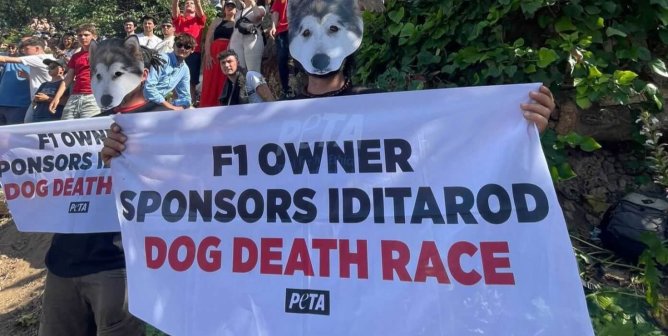 Protest of F1 support of Iditarod