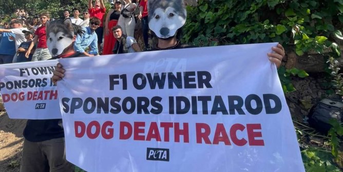 Find Out What the Monaco Grand Prix and the Iditarod Have in Common