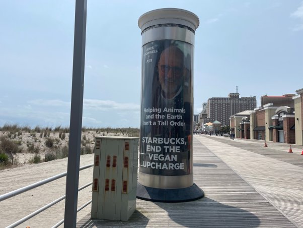 actor James Cromwell ad on boardwalk