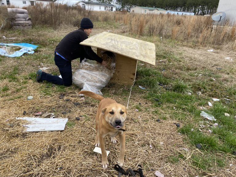 dog tethered to wooden PETA doghouse