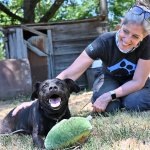 No More Darkness for Midnight: Give This Adoptable Dog a Bright Future