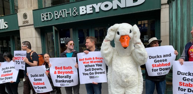 Dancing ‘Goose’ Celebrates Bed Bath & Beyond’s Bankruptcy
