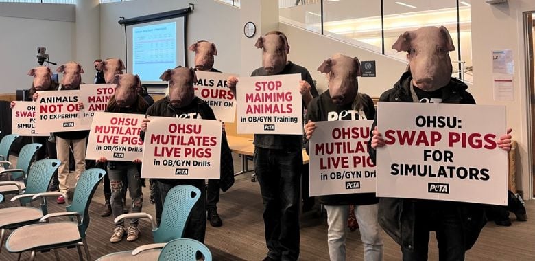 PETA Supporters Urge OHSU Board of Directors to End Pig Mutilations