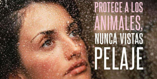 Penélope Cruz: Protege A Los Animales, Nunca Vistas Pelaje.