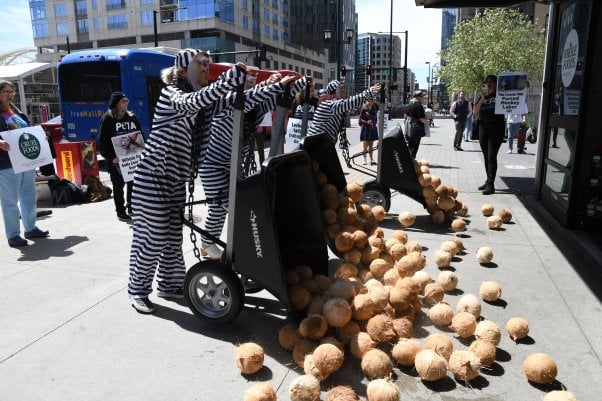 PETA Whole Foods coconut dump