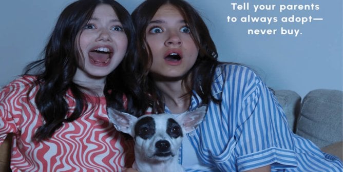 Violet And Madeleine McGraw: What’s Really Scary? Animal Homelessness.