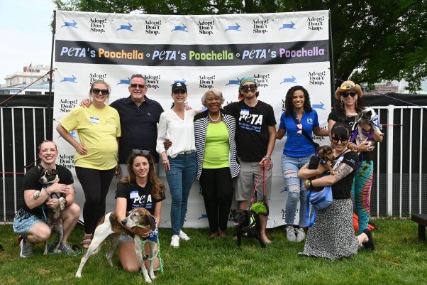 PeQMY9MD 2023 Poochella Adoption Fest a Huge Success