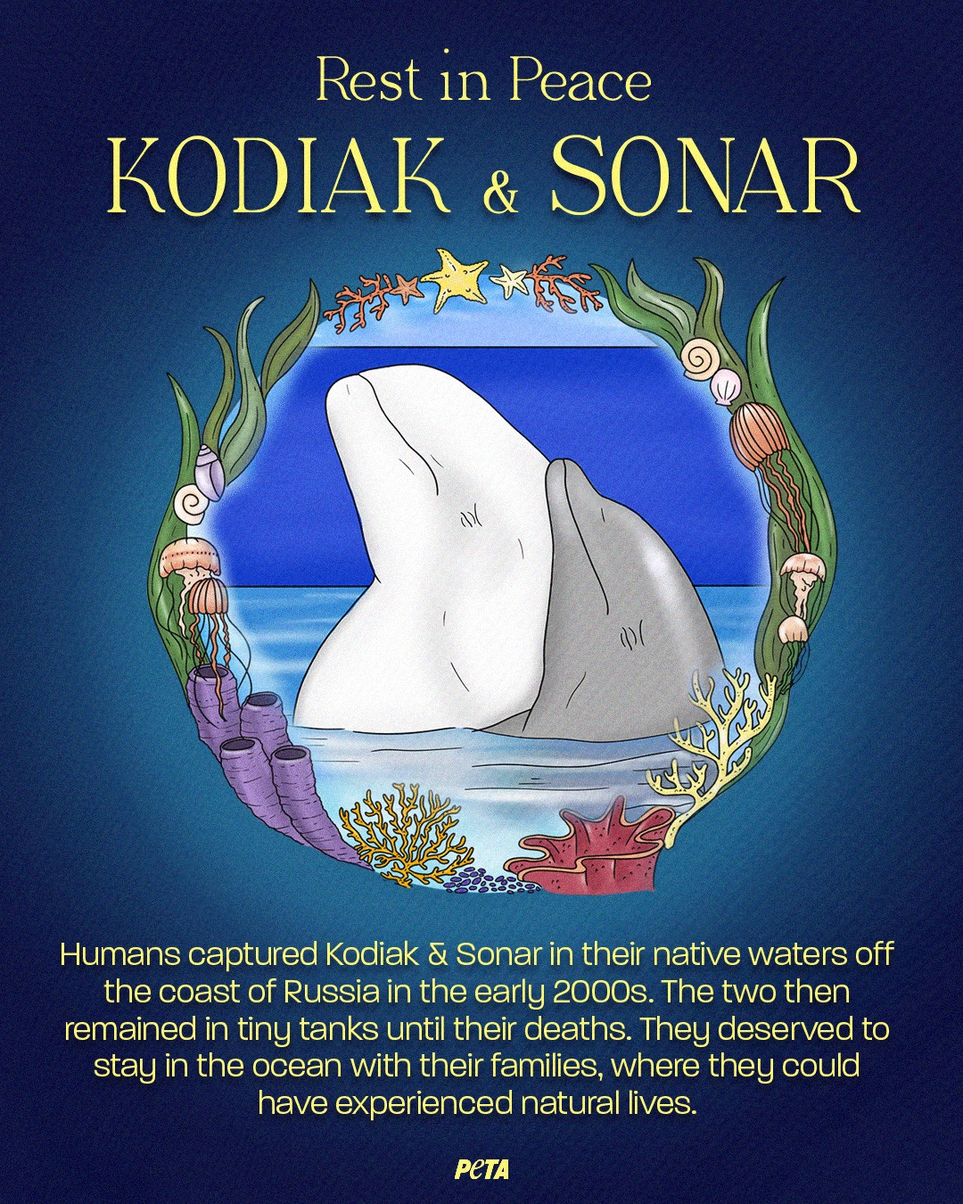 decorative image remembering two cetaceans who died at Marineland of Canada in May 2023