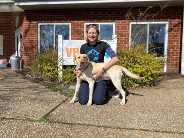 dog given a chance for adoption at the Virginia Beach SPCA