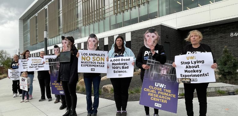 ‘Monkeys’ at UW Alumni Event Demand National Primate Research Center Closure