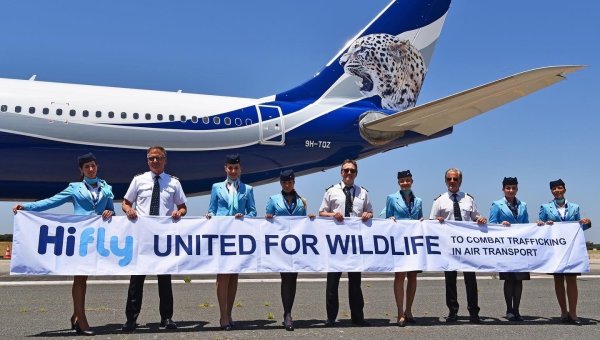 Tell Hi Fly It’s High Time to Stop Sending Monkeys to Their Deaths