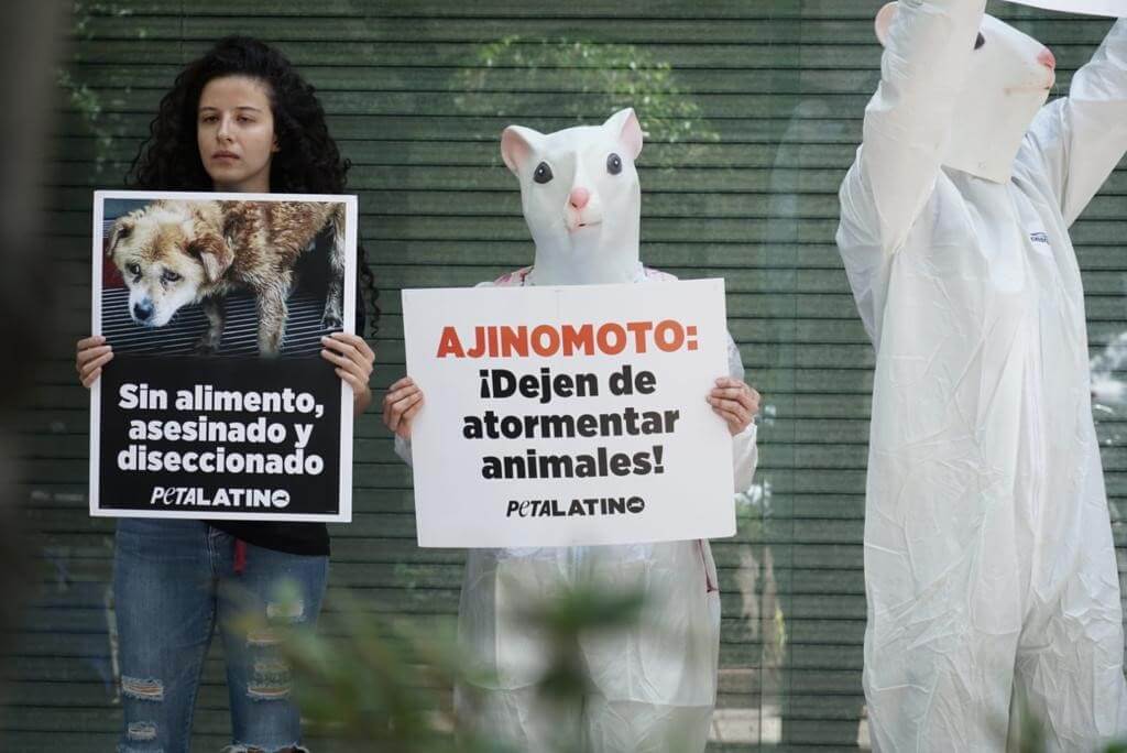 mice masked and non masked protesters raising signs in front of Ajinomoto in Mexico City