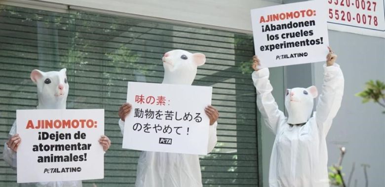 ‘Mice’ Swarm Ajinomoto’s Mexico Office Over Useless and Cruel Tests