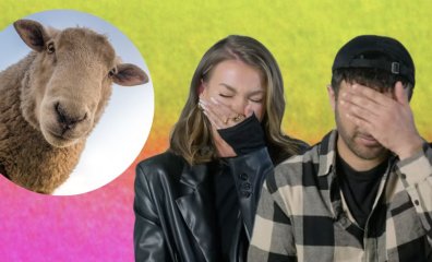 8 Celebs Watched What the Wool Industry Does to Animals—Here’s How It Went