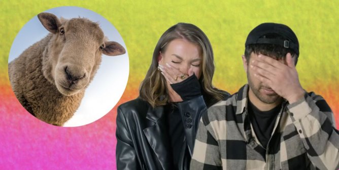 8 Celebs Watched What the Wool Industry Does to Animals—Here’s How It Went