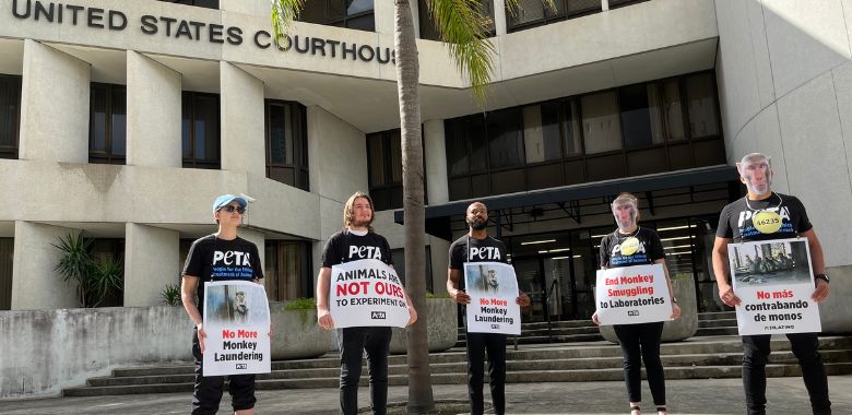 Protesters Demand Transparency as Primate-Smuggling Case Begins