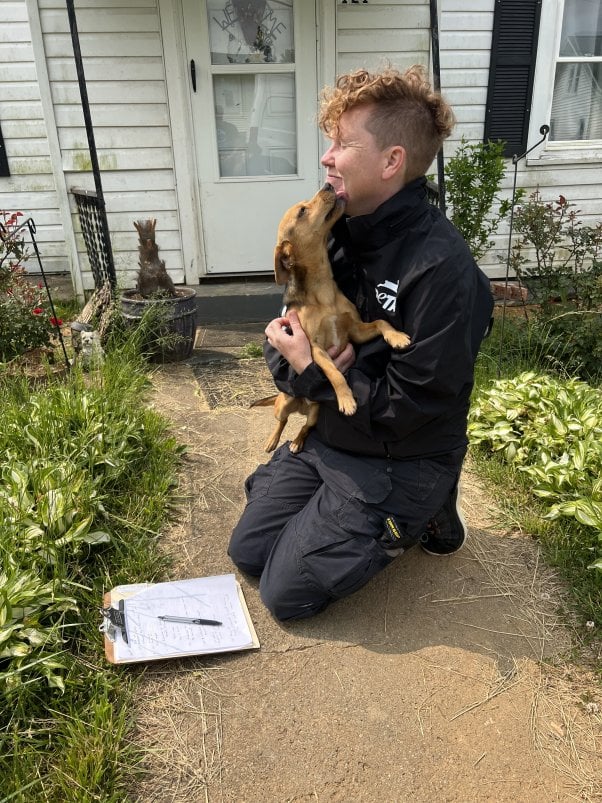 dog with peta staffer 150 Dogs Spayed or Neutered at Galax Clinic