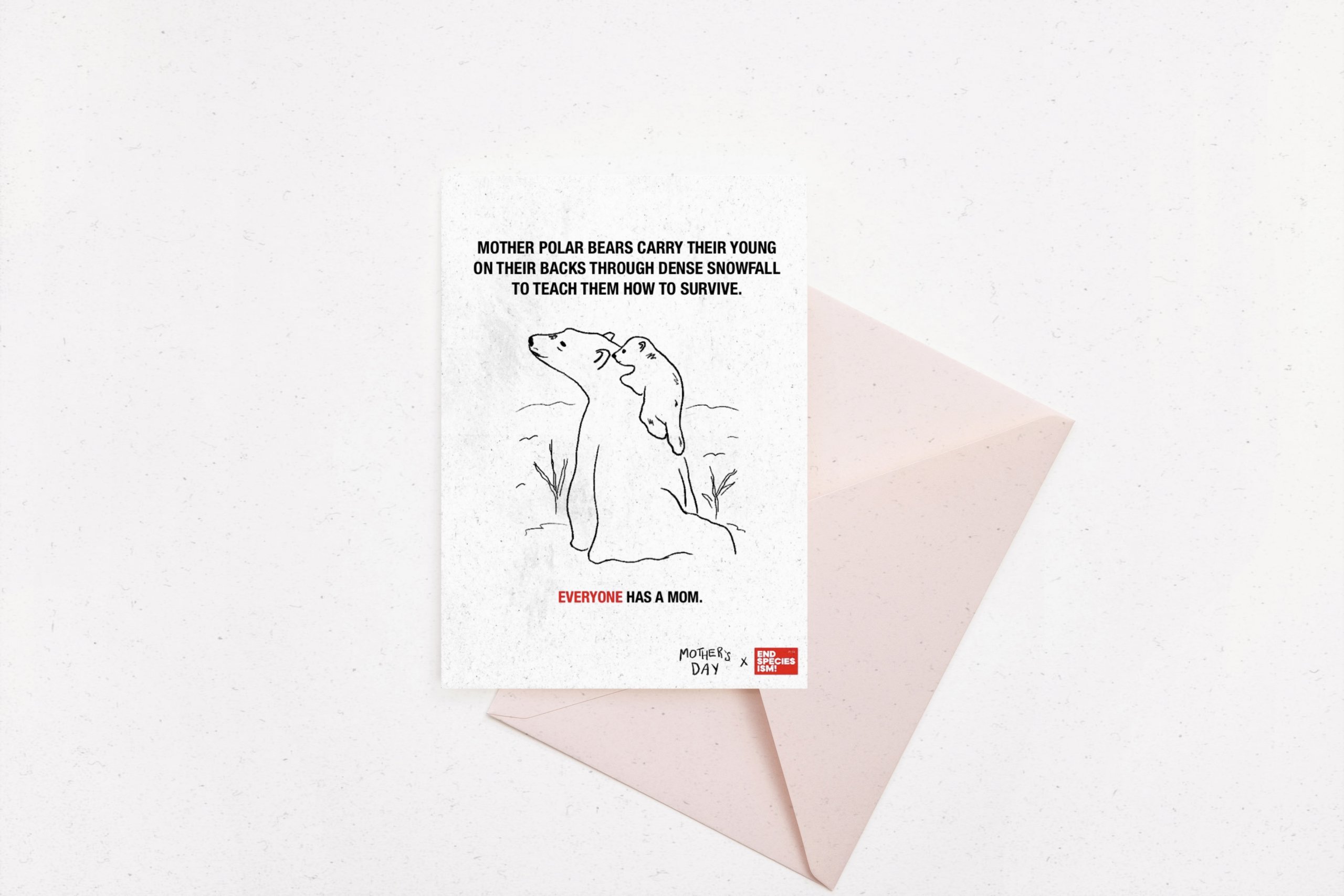 A card with a line art illustration of a polar bear and her cub. The top text reads "mother polar bears carry their young on their backs through dense snowfall to teach them how to survive" with bottom text reading "everyone has a mom"