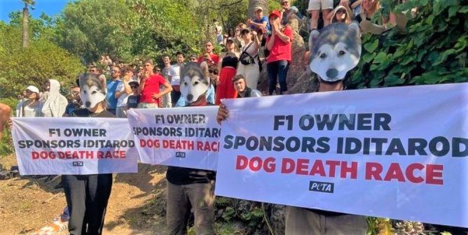Find Out What the Monaco Grand Prix and the Iditarod Have in Common