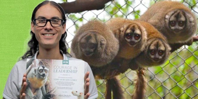 Colombian Council Member Becomes First Politician Outside U.S. to Win PETA’s ‘Courage in Leadership’ Award