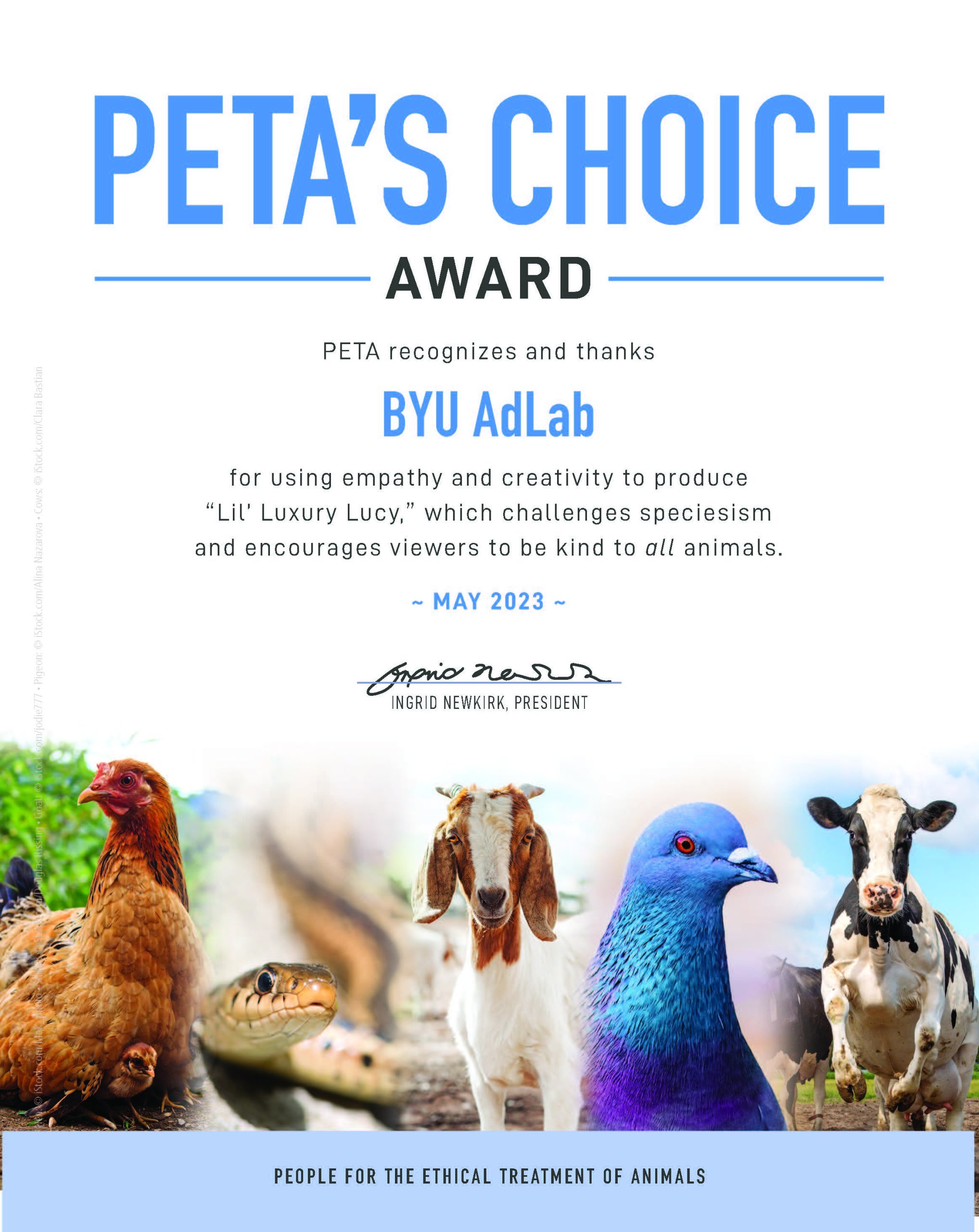 PETA certificate for BYU AdLab for 'Lil' Luxury Lucy'