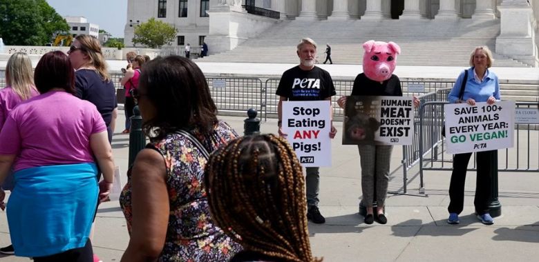 ‘Pig’ Urges Everyone to Go Vegan After Supreme Court Prop 12 Verdict