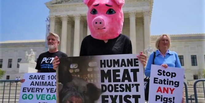 prop 12 humane meat protest