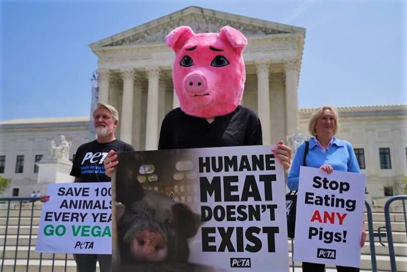 prop 12 humane meat protest