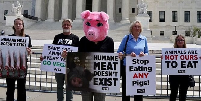 ‘Pig’ Urges Everyone to Go Vegan After Supreme Court Prop 12 Verdict