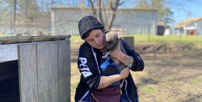 a puppy is held by a PETA fieldworker