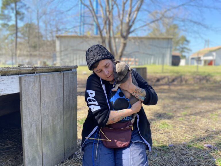 a puppy is held by a PETA fieldworker