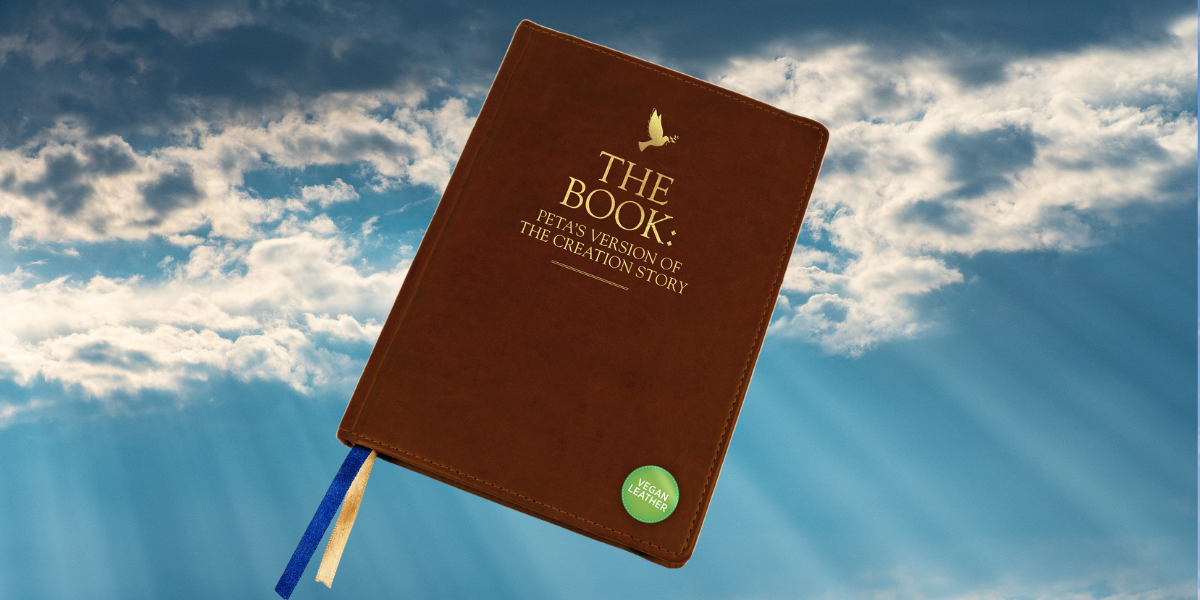 Closed business diary with hard leatherette green cover, rubber band and two silk blue and yellow page-marker ribbons on a blue sky background