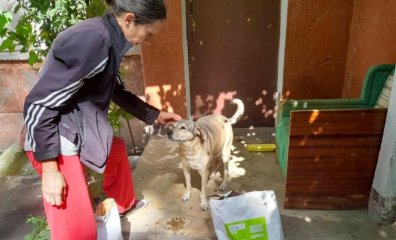 PETA-Backed Network Is Saving Thousands of Animals in Ukraine