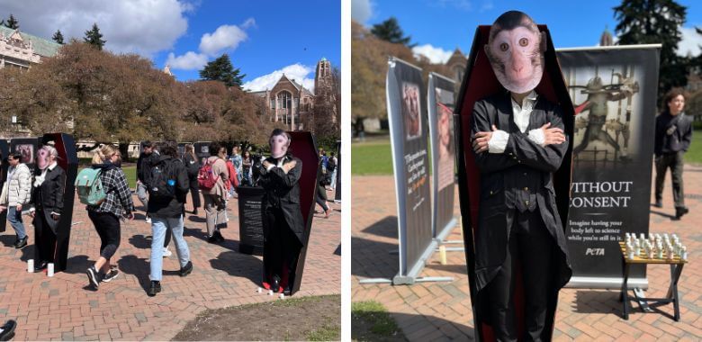 Visitors Given an Important History Lesson at PETA’s ‘Without Consent’ Exhibit