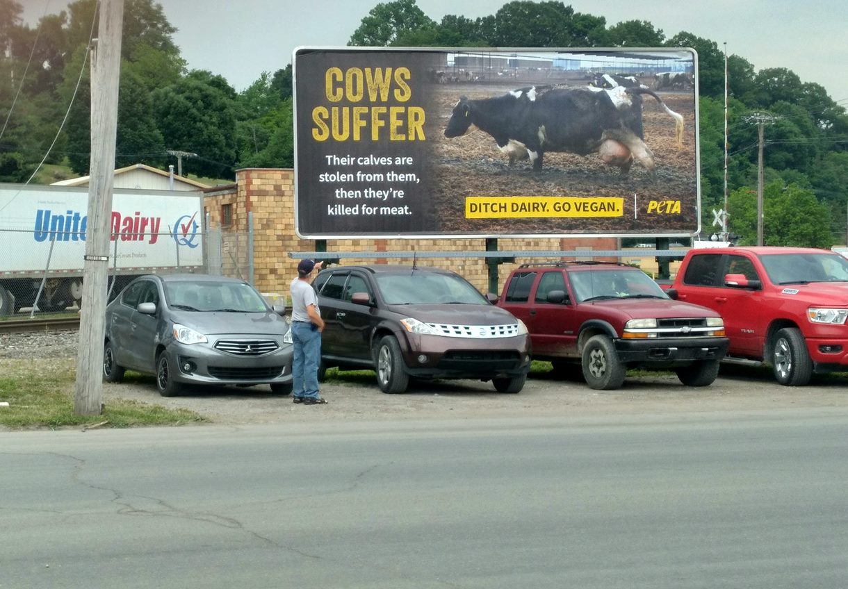 PETA