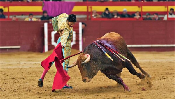 Urge These Travel Companies to Stop Promoting Bull Torture!