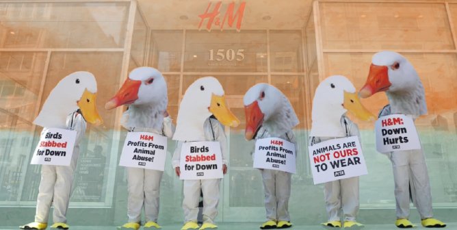 ‘Feather-Free Friday’ Actions Worldwide Were a Wake-Up Call for H&M