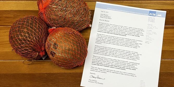 Special Delivery: PETA Lobs Coconuts at Whole Foods Execs Over Forced Monkey Labor