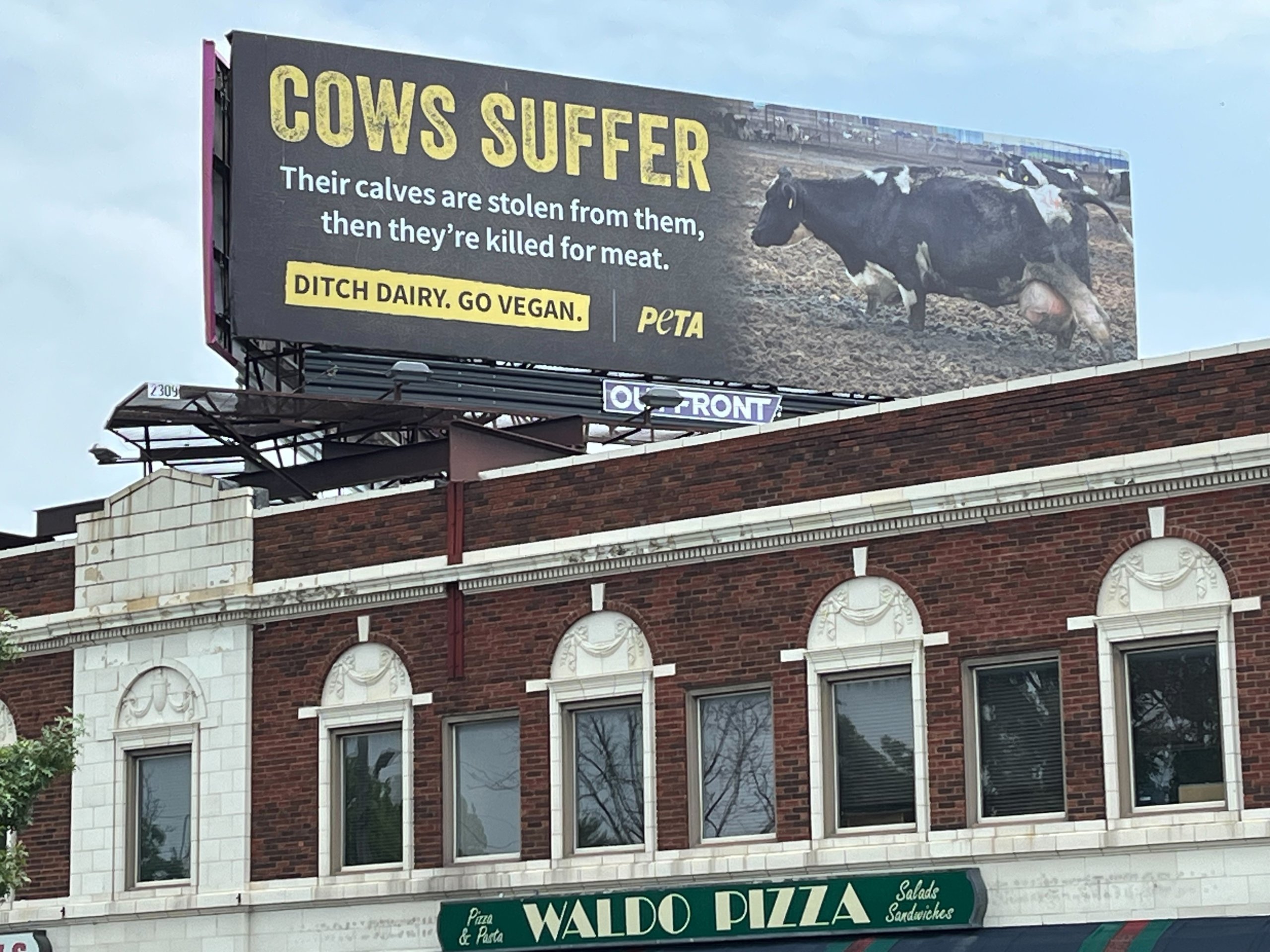 PETA ad above Waldo Pizza in Kansas City, Missouri, that reads "Cows suffer. Their calves are stolen from them, then they’re killed for meat. Ditch dairy. Go vegan."