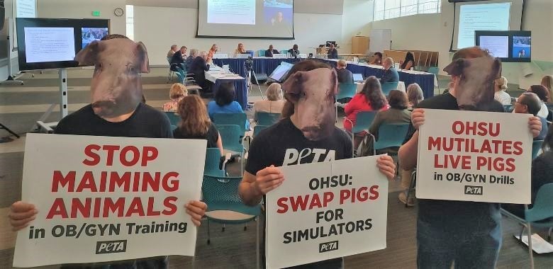 ‘Pigs’ Confront OHSU Board Members Over Live-Animal Training