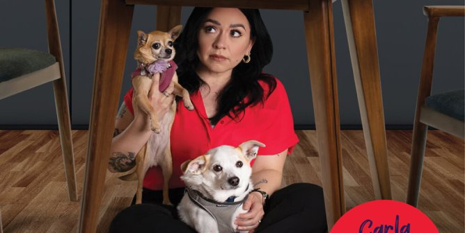 Carla Morrison: Fireworks Are No Fun For Animals