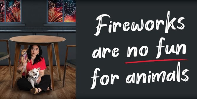Carla Morrison Joins PETA Latino for Powerful Anti-Fireworks PSA