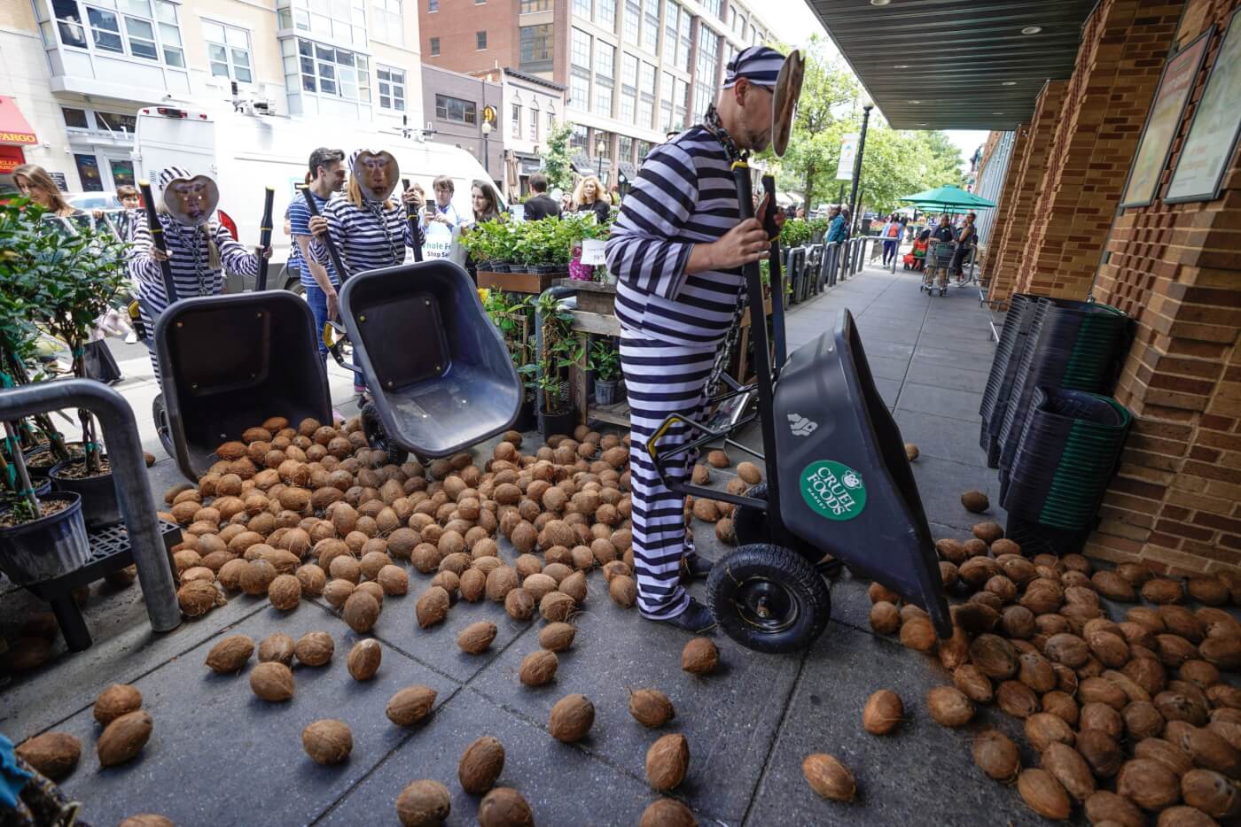 PETA dumps coconuts outside Whole Foods